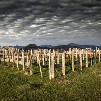  Mg 6686 En Tant Quobjet Dynamique 1