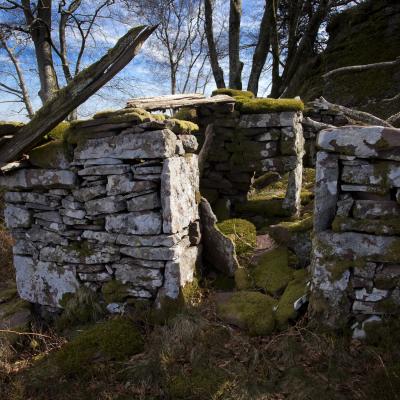  Mg 7185 En Tant Quobjet Dynamique 1