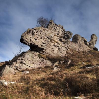  Mg 7267 En Tant Quobjet Dynamique 1