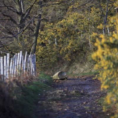  Mg 9143 En Tant Quobjet Dynamique 1