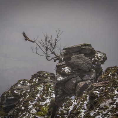  Mg 9371 En Tant Quobjet Dynamique 1