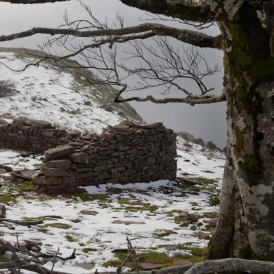  Mg 9382 En Tant Quobjet Dynamique 1