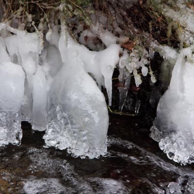 Img 5025 En Tant Quobjet Dynamique 1