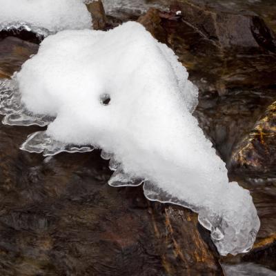 Img 5055 En Tant Quobjet Dynamique 1