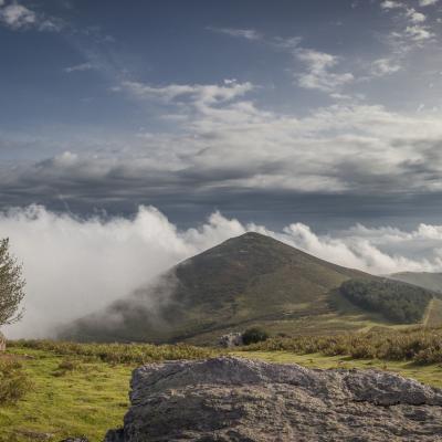  Mg 6135 Panorama Modifier