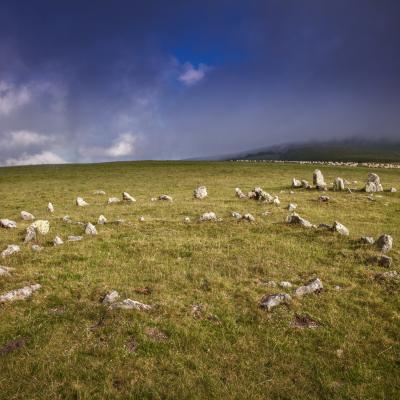  Mg 2548 En Tant Quobjet Dynamique 1