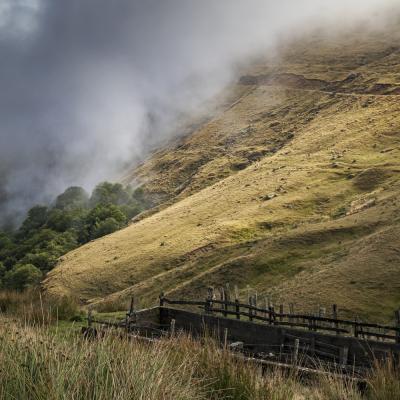  Mg 5287 En Tant Quobjet Dynamique 1