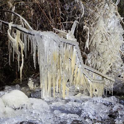  Mg 5354 En Tant Quobjet Dynamique 1