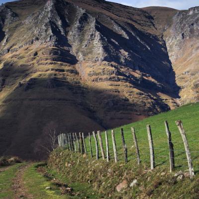  Mg 5807 En Tant Quobjet Dynamique 1