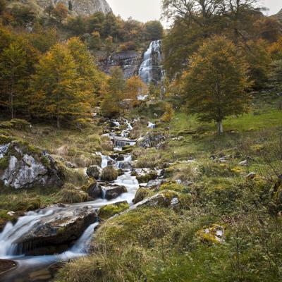  Mg 6785 En Tant Quobjet Dynamique 1