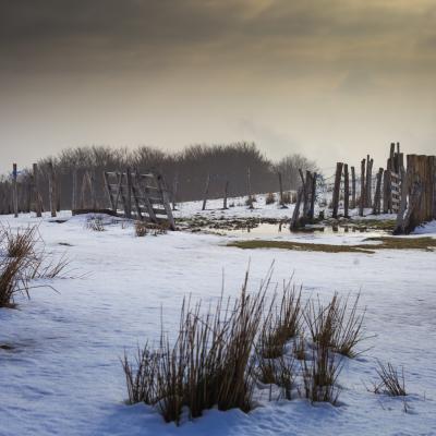  Mg 9346 En Tant Quobjet Dynamique 1