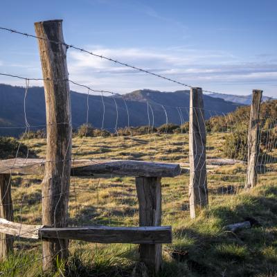 02022020 Randonnees 20200296