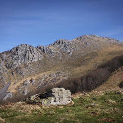 14022021 Behorleguy0172