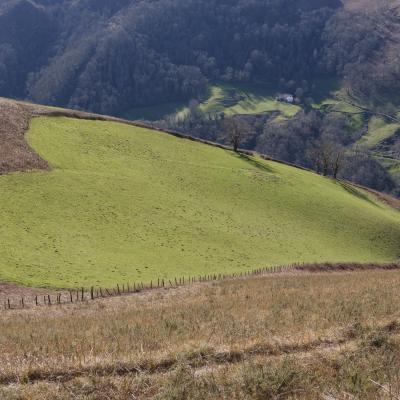 14022021 Behorleguy0175