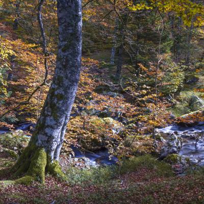 18102020 Randonnees 20201574