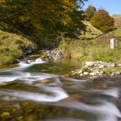 18102020 Randonnees 20201582