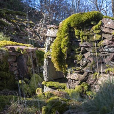 23022020 Randonnees 20200509