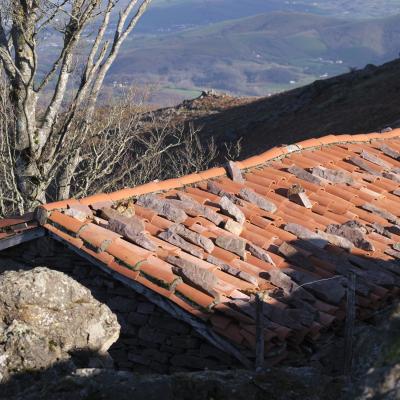 26122020 Randonnees 20201890