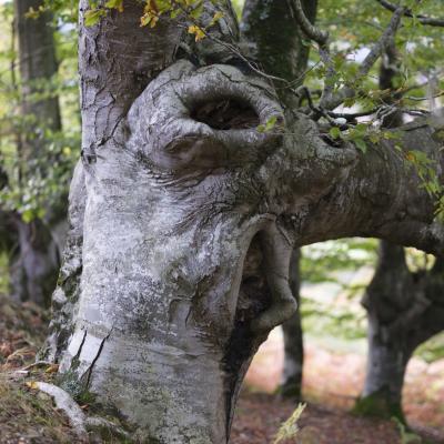 06112021 Espagne0071