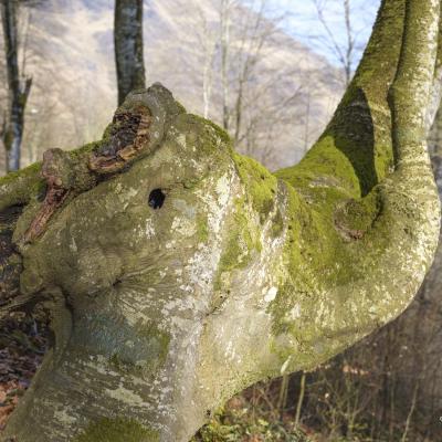 21032021 Iramendy0037 Modifier