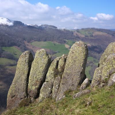 21032021 Iramendy0097