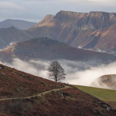 27122022 Le Larla0009