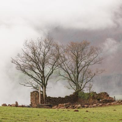 27122022 Le Larla0018