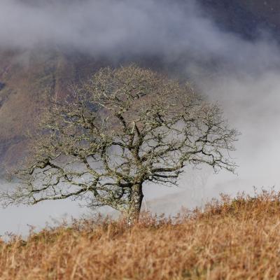 27122022 Le Larla0068