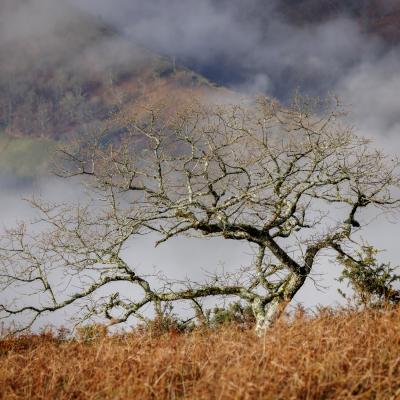 27122022 Le Larla0070