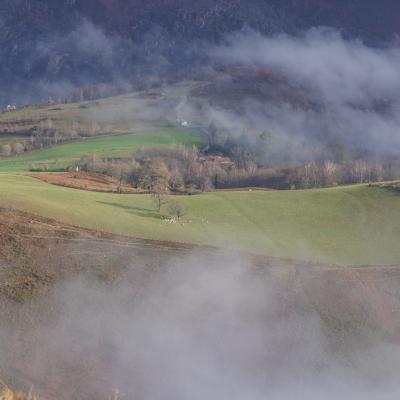 27122022 Le Larla0073