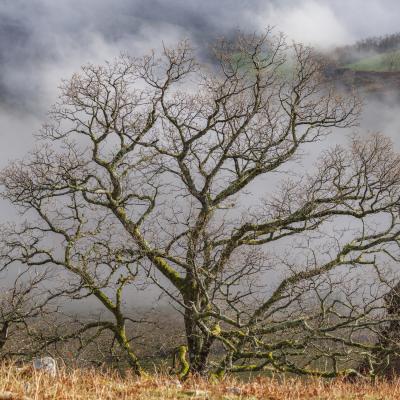 27122022 Le Larla0076