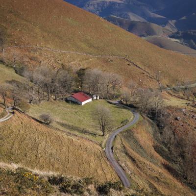 Singer Behorleguy 2332