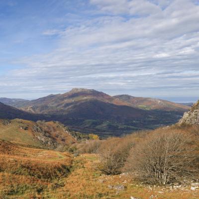 Atxuria10 Novembre 20252c8a0463 Modifier