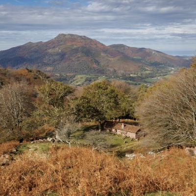 Atxuria10 Novembre 20252c8a0490