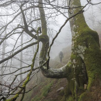 Autza16 Janvier 20252c8a9427