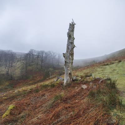 Autza16 Janvier 20252c8a9465