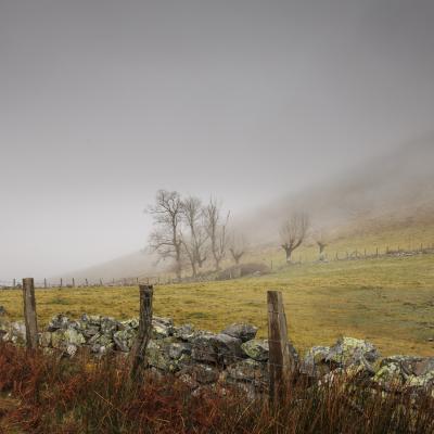 Autza16 Janvier 20252c8a9473