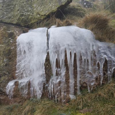 Autza16 Janvier 20252c8a9550