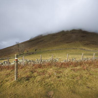 Autza16 Janvier 20252c8a9579