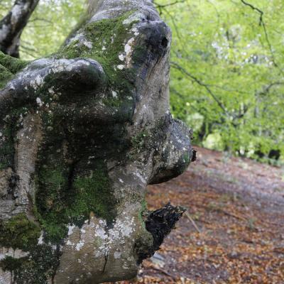 Baigoura26 Octobre 20252c8a9436