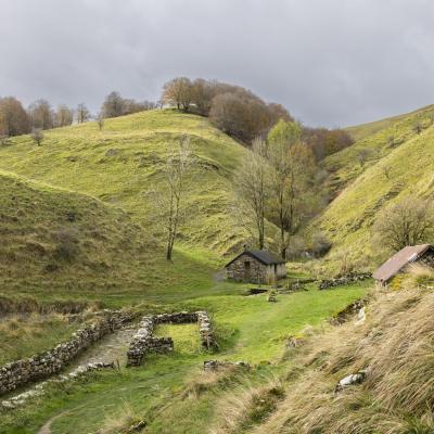 Harpea02 Novembre 20252c8a0010