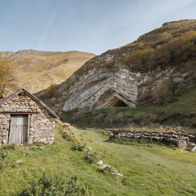 Harpea02 Novembre 20252c8a0042