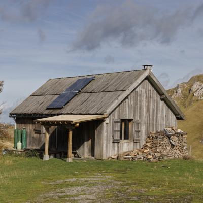 Harpea02 Novembre 20252c8a0069