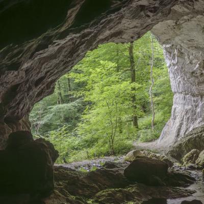 Source De La Bidouze01 Aout 2025r0002390