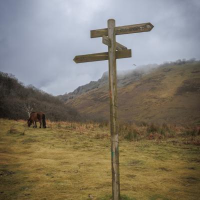 Autza Poteau16 Janvier 20252c8a9577