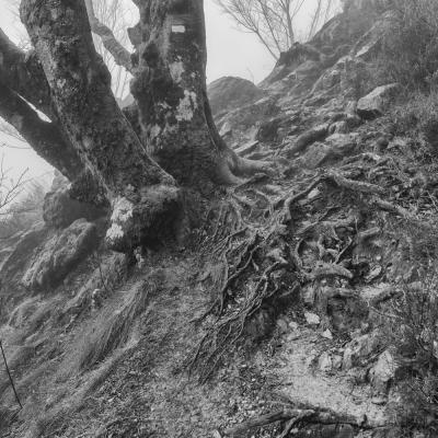 Autza16 Janvier 20252c8a9426