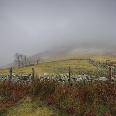 Autza16 Janvier 20252c8a9472