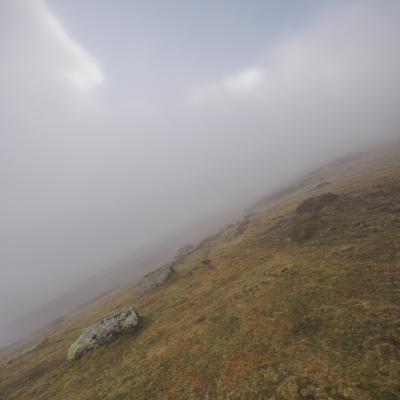 Autza16 Janvier 20252c8a9483