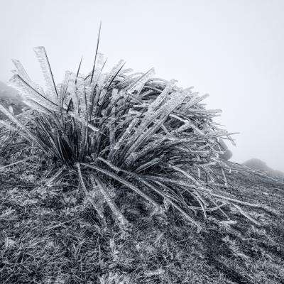 Autza16 Janvier 20252c8a9502