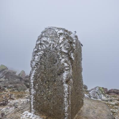 Autza16 Janvier 20252c8a9507